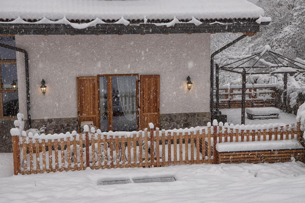 Agriturismo Ai Castioni Мольвено Экстерьер фото