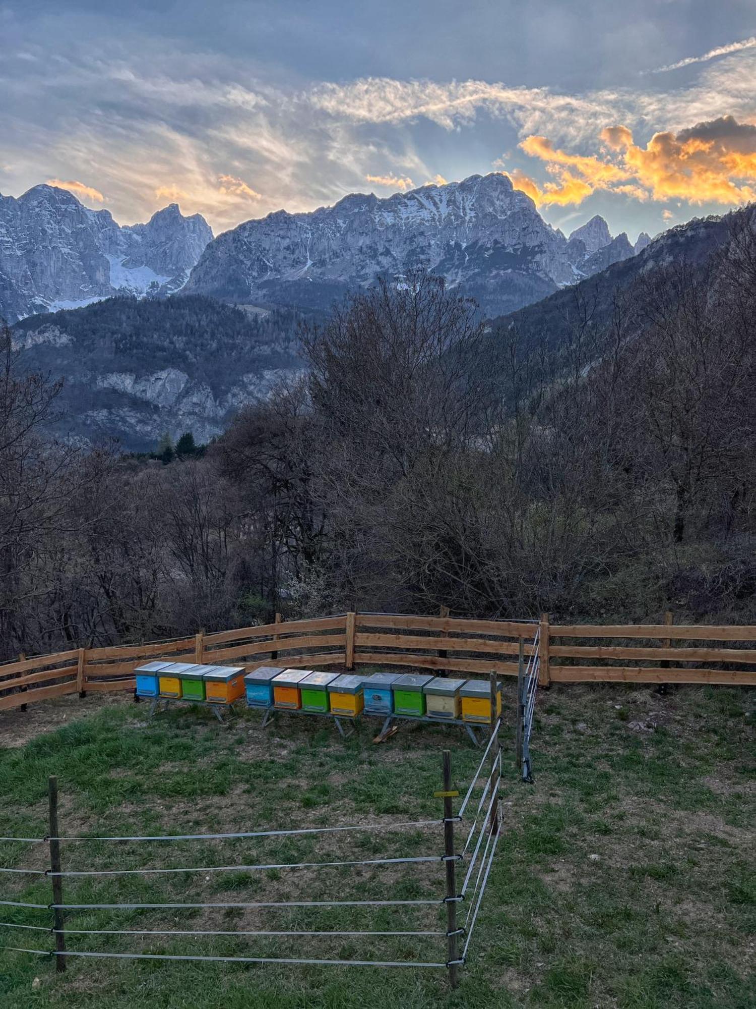 Agriturismo Ai Castioni Мольвено Экстерьер фото