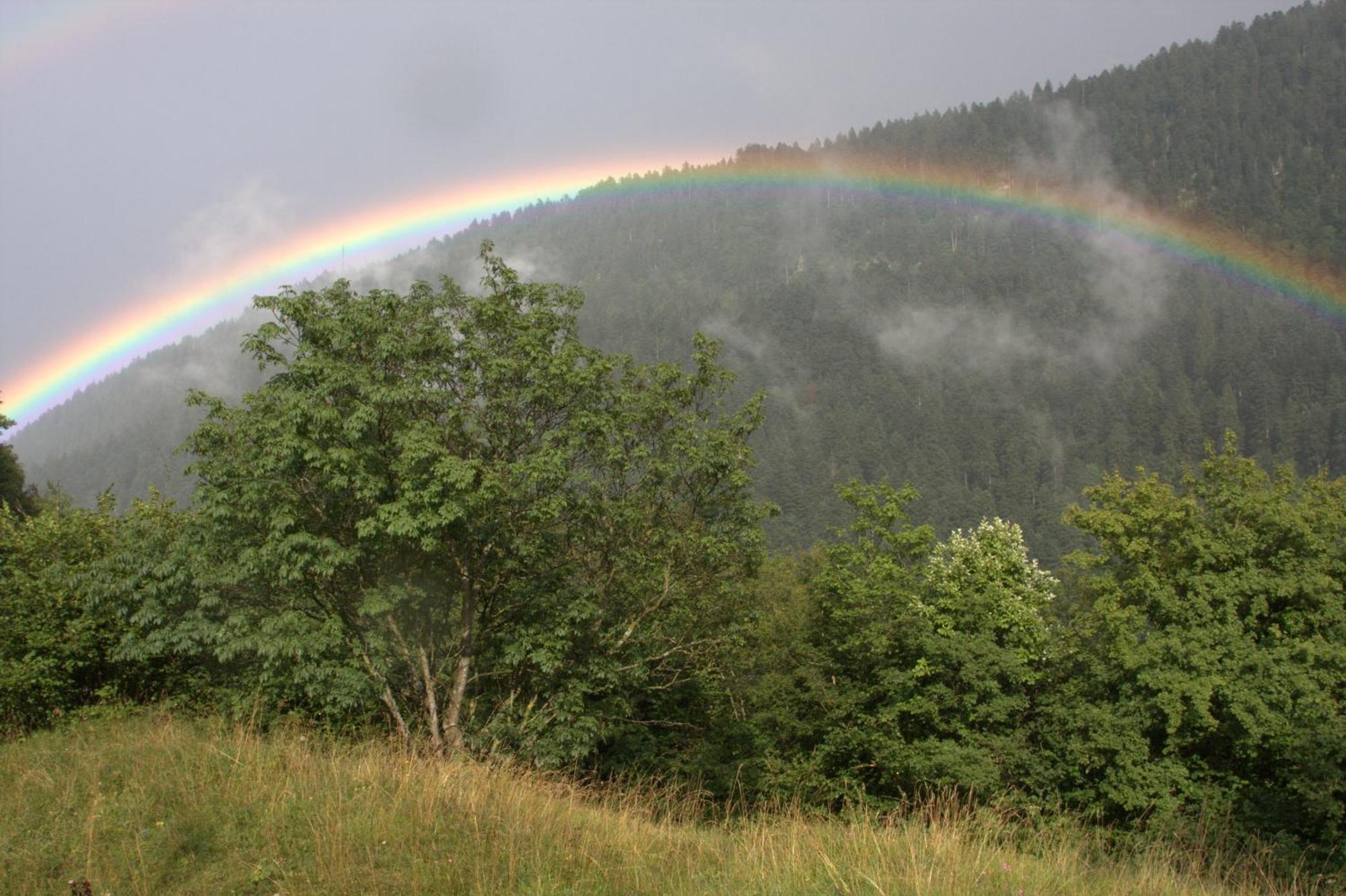 Agriturismo Ai Castioni Мольвено Экстерьер фото