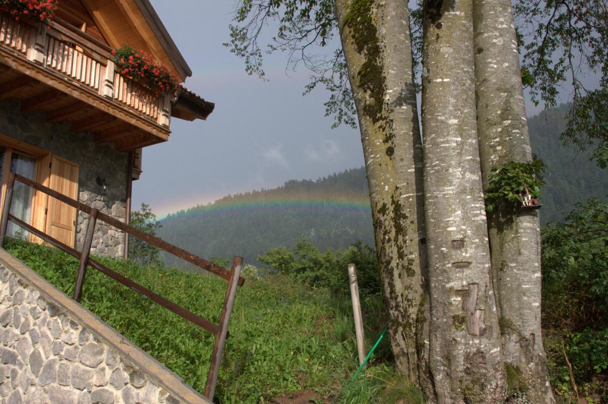 Agriturismo Ai Castioni Мольвено Экстерьер фото